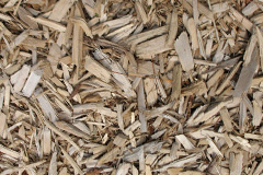 biomass boilers Hestinsetter